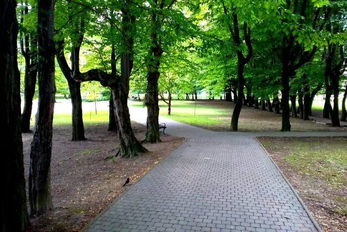 Park mieru v centre Humenného